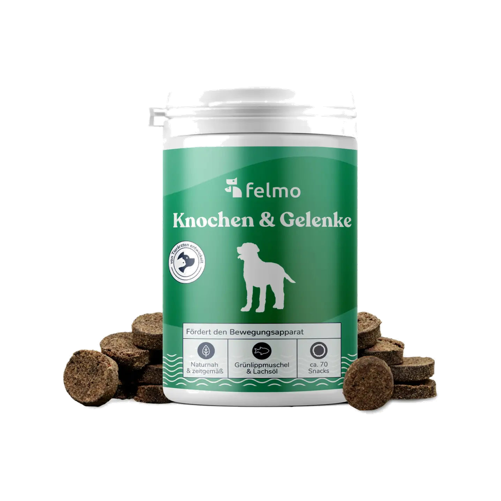 felmo Knochen und Gelenk-Snacks